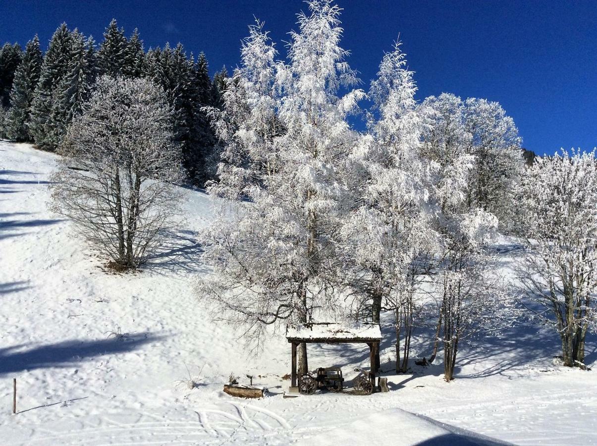 Вілла Le Refuge Кордон Екстер'єр фото
